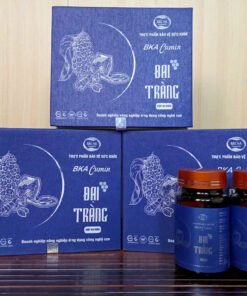 TPBVSK Bkacumin đại tràng